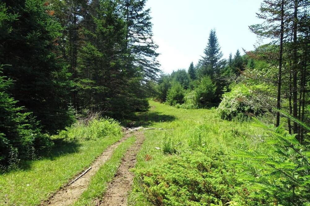 Photo of Others in Montville