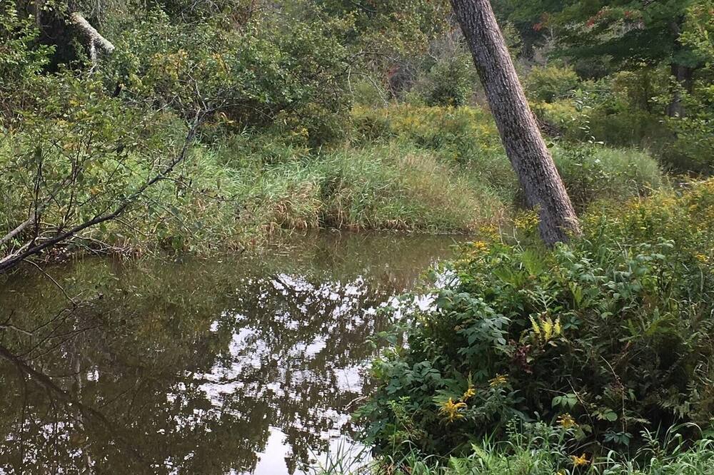 Photo of Others in Montville