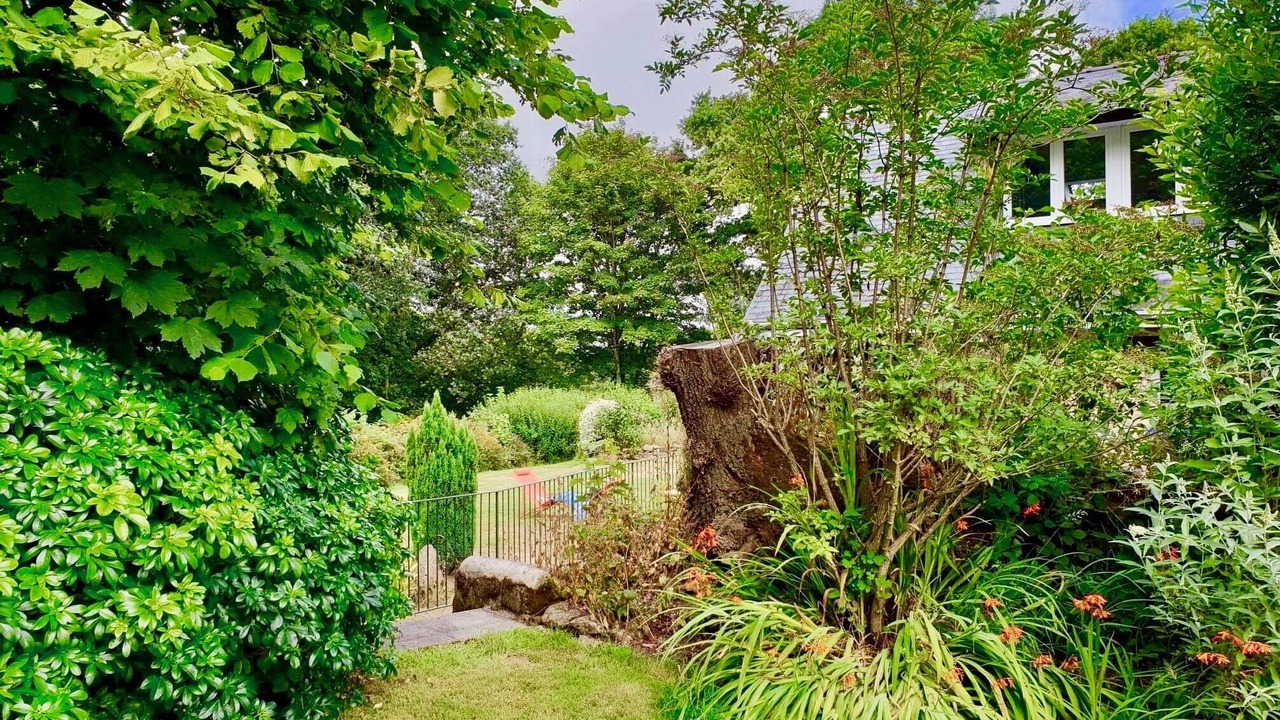 Photo of Outdoor in Plouray