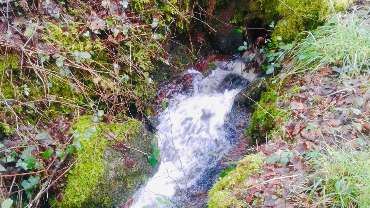 Photo of Outdoor in Plouray