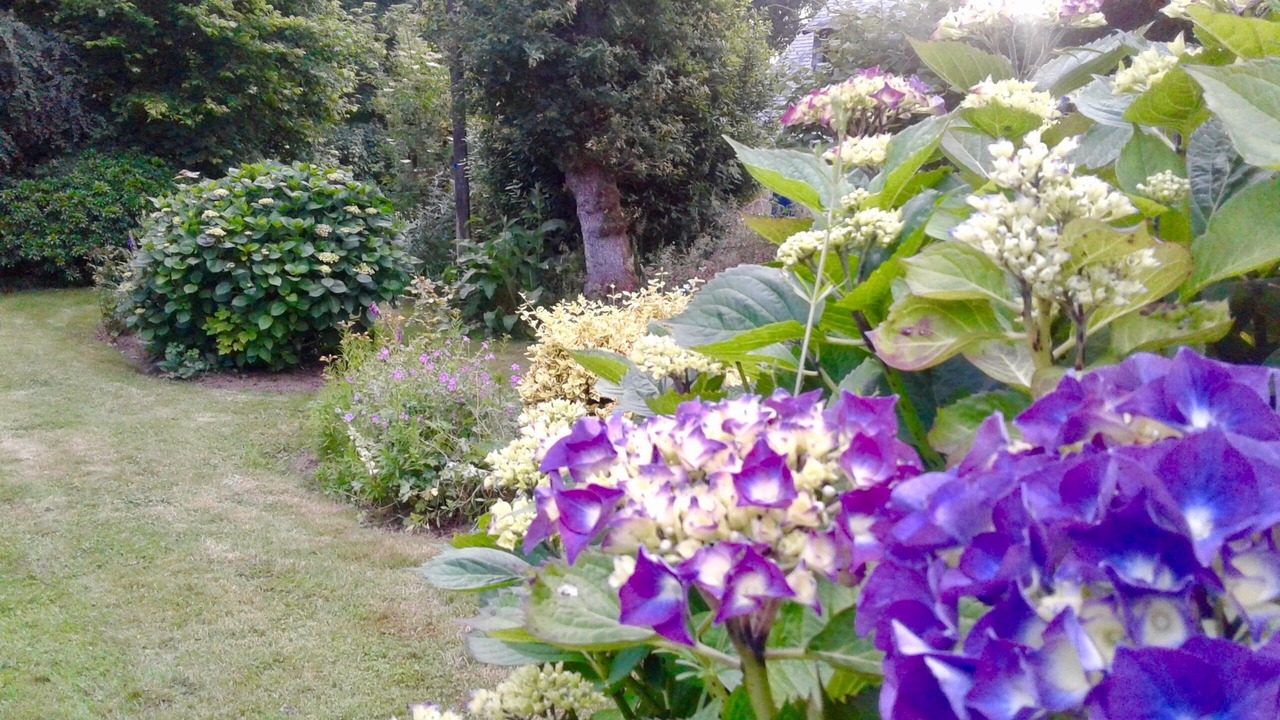 Photo of Outdoor in Plouray