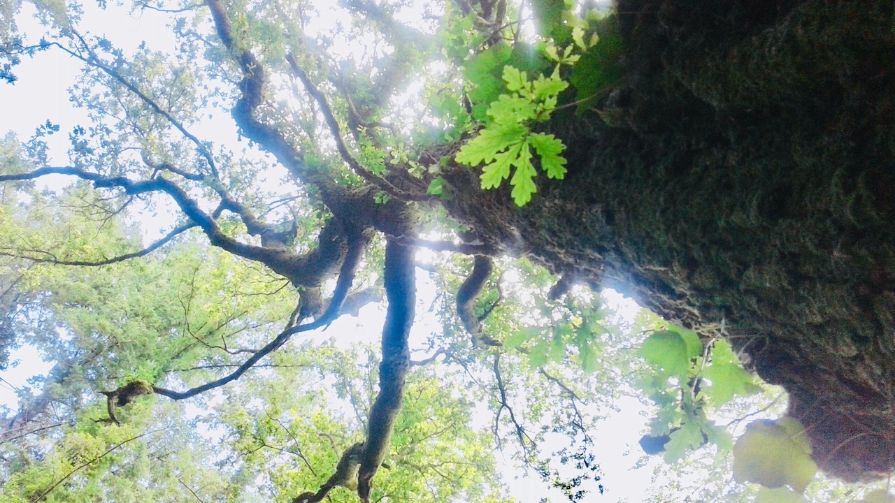 Photo of Others in Plouray