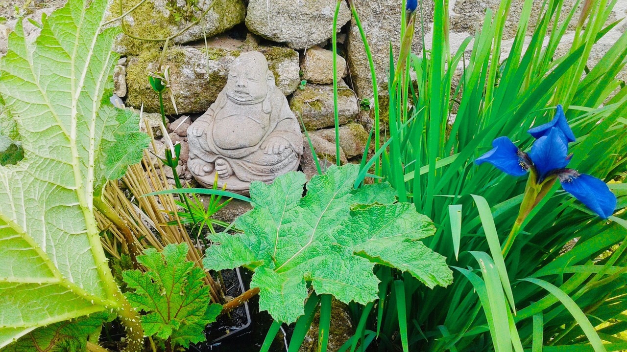 Photo of Outdoor in Plouray