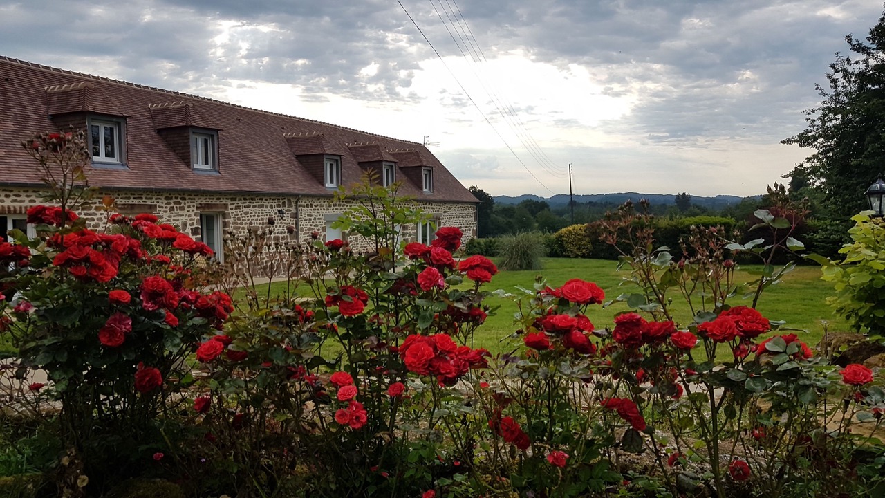 Photo of Outdoor in Magny-le-Desert
