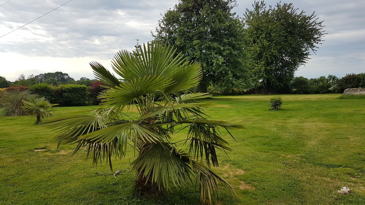 Photo of Outdoor in Magny-le-Desert