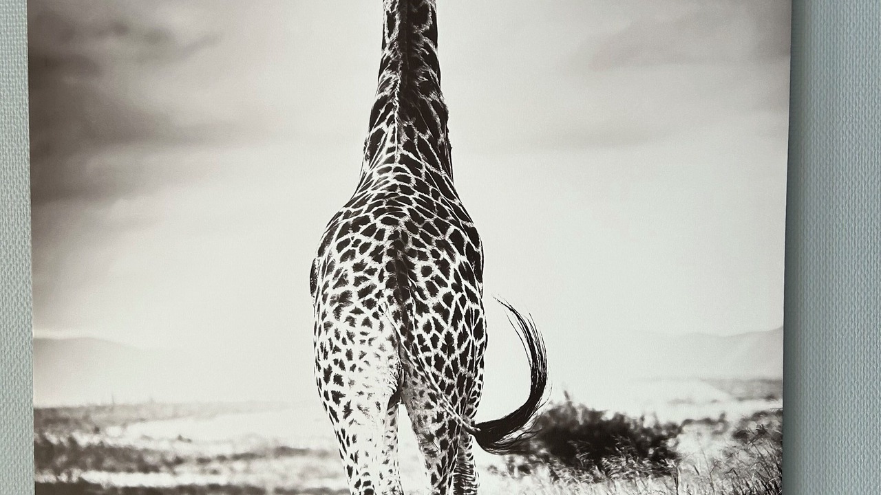 Photo of Others in Avesnelles