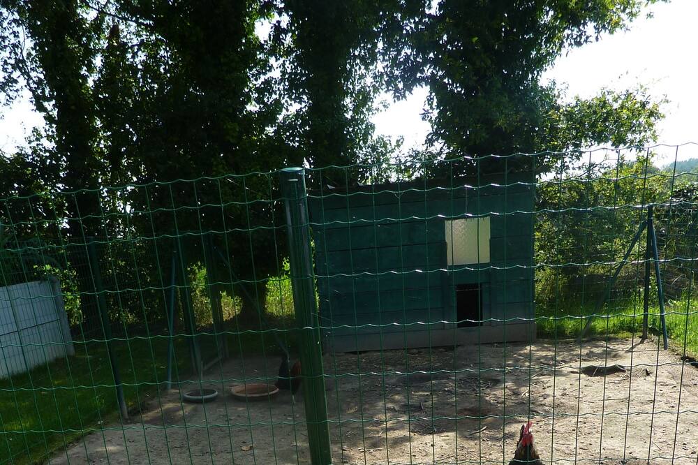 Photo of Others in Pleven
