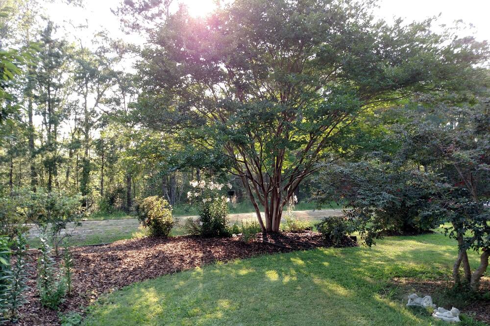 Photo of Outdoor in Shallotte