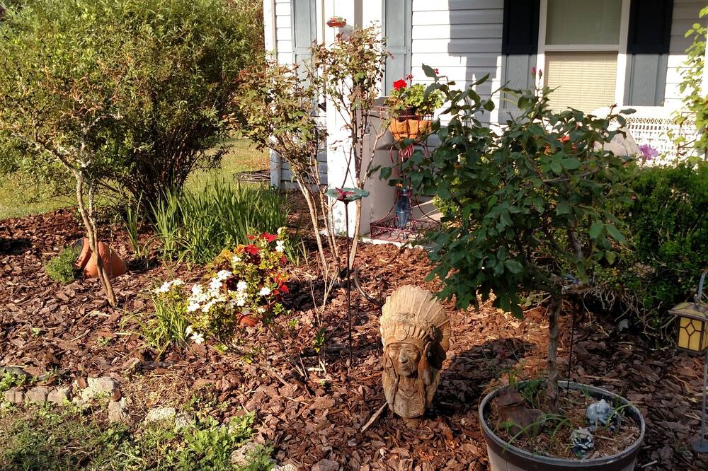 Photo of Outdoor in Shallotte