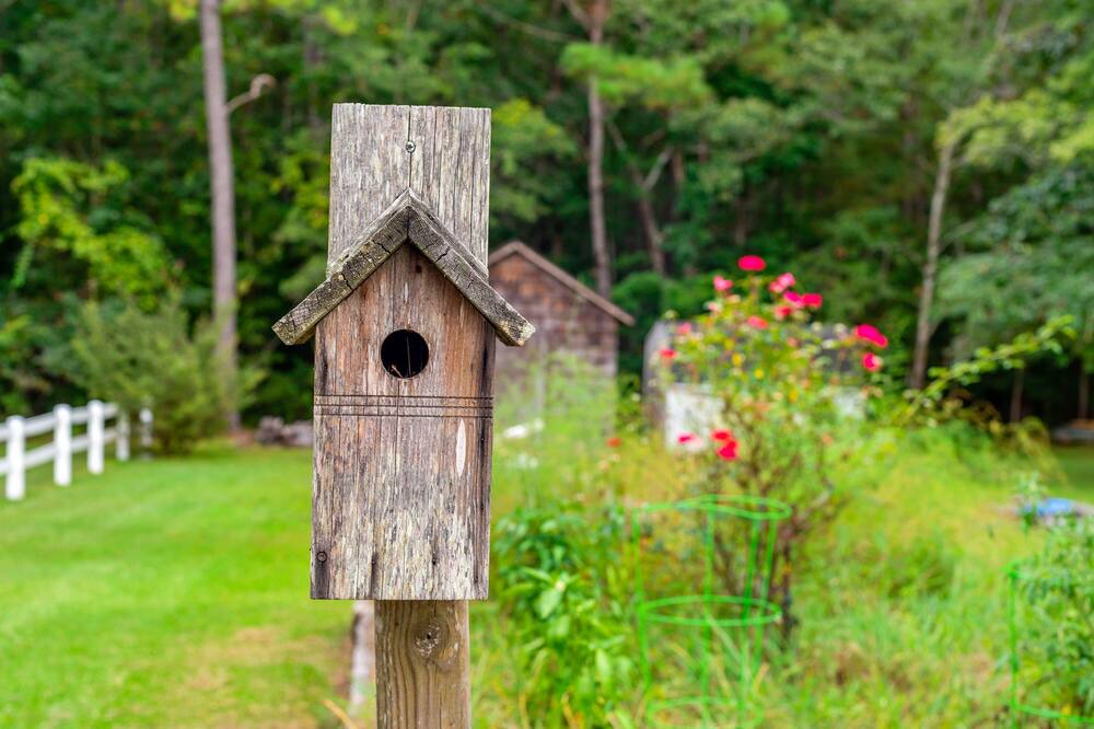 Photo of Outdoor in Shallotte