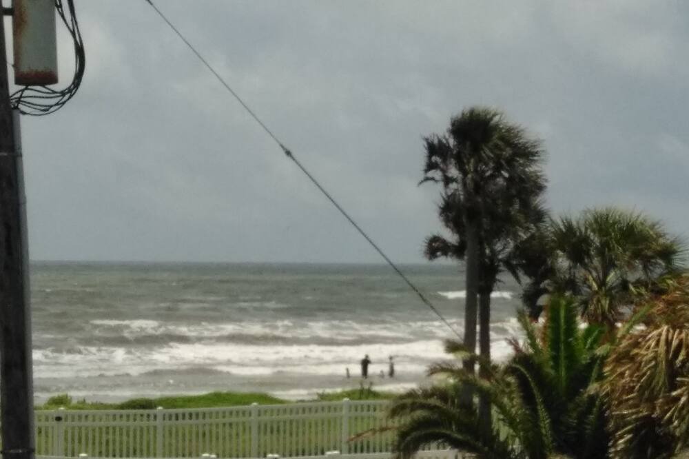 Photo of Others in Indian Beach