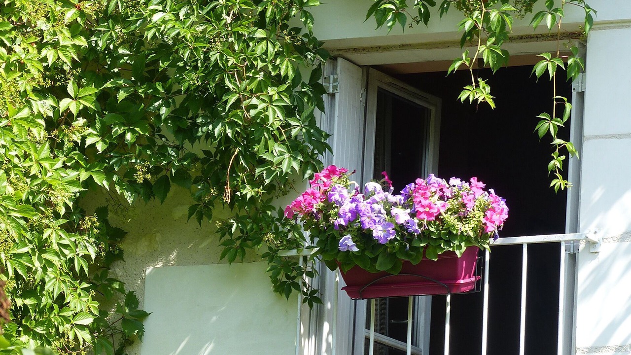 Photo of Outdoor in Epeigne-les-Bois