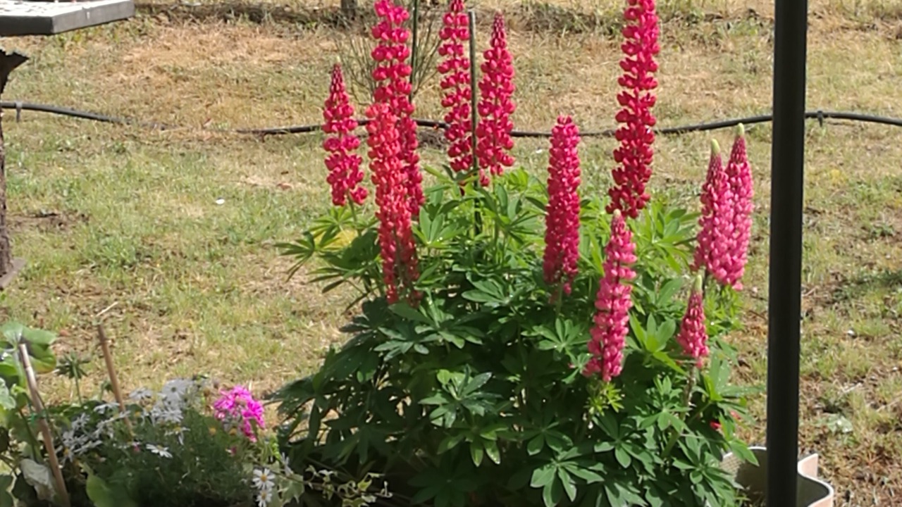 Photo of Outdoor in Capdrot