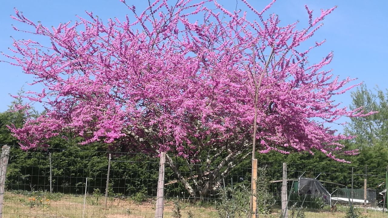 Photo of Outdoor in Capdrot