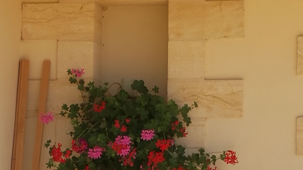 Photo of Outdoor in Capdrot