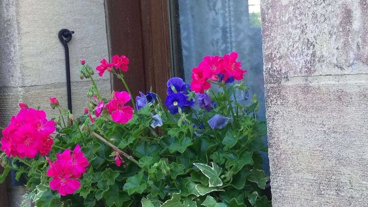 Photo of Outdoor in Capdrot