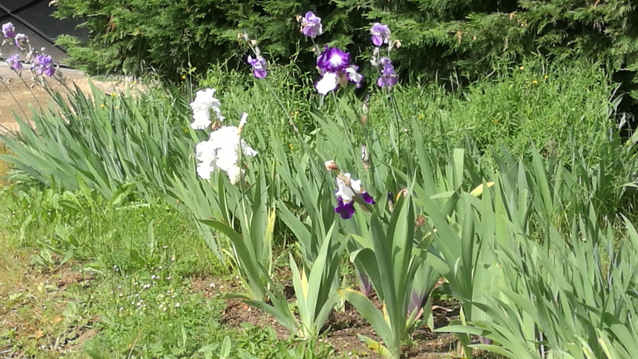 Photo of Outdoor in Capdrot