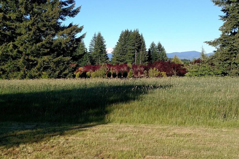 Photo of Outdoor in Estacada