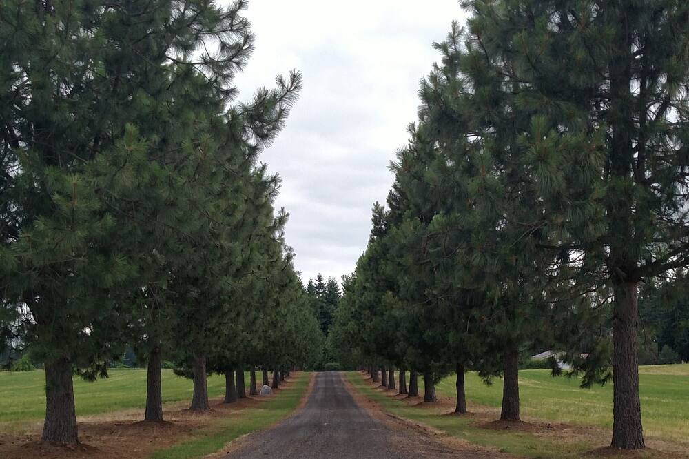 Photo of Outdoor in Estacada