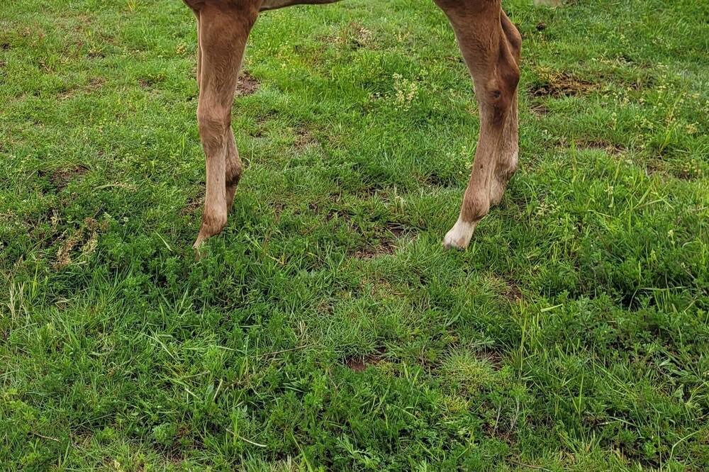 Photo of Outdoor in Estacada