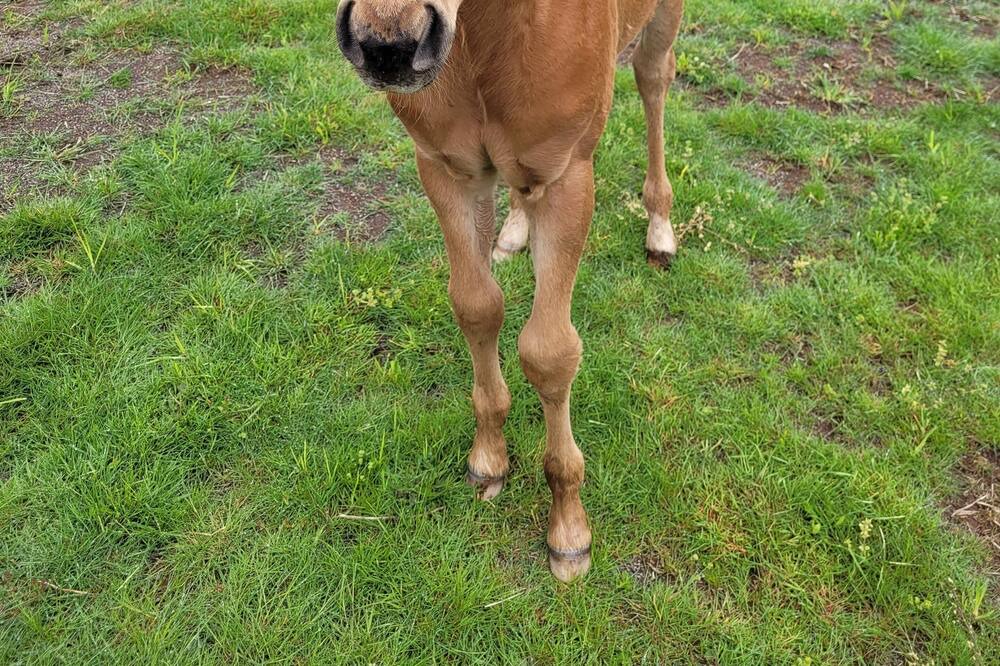 Photo of Outdoor in Estacada