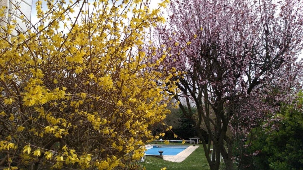 Photo of Outdoor in Le Raincy