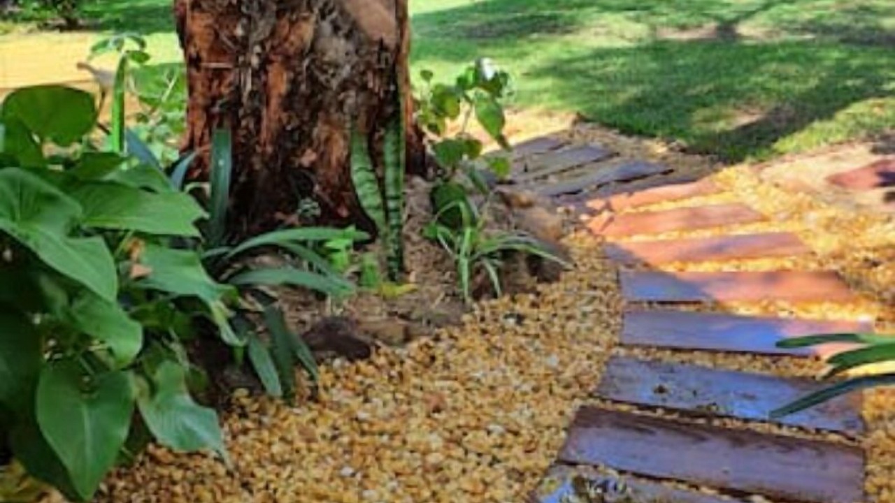 Photo of Outdoor in Bundeena