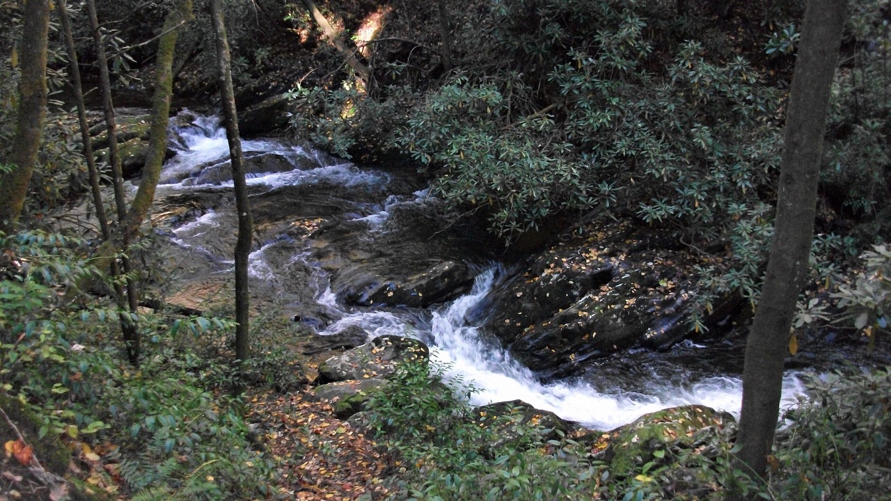 Photo of Outdoor in Dillard