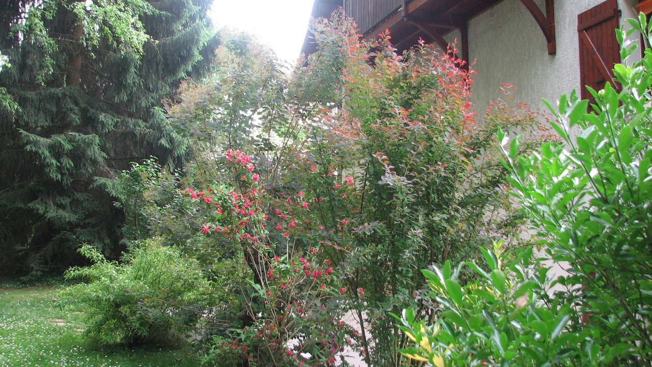 Photo of Outdoor in Saint-Ondras