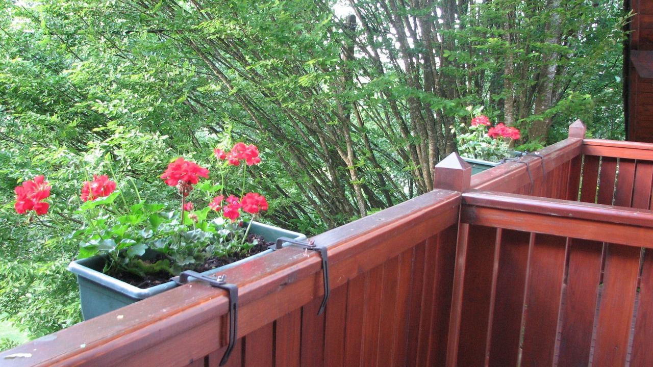 Photo of Bedroom in Saint-Ondras