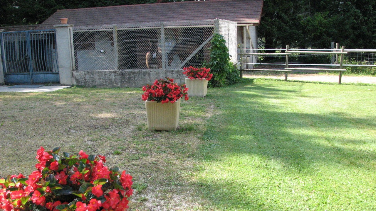 Photo of Bedroom in Saint-Ondras