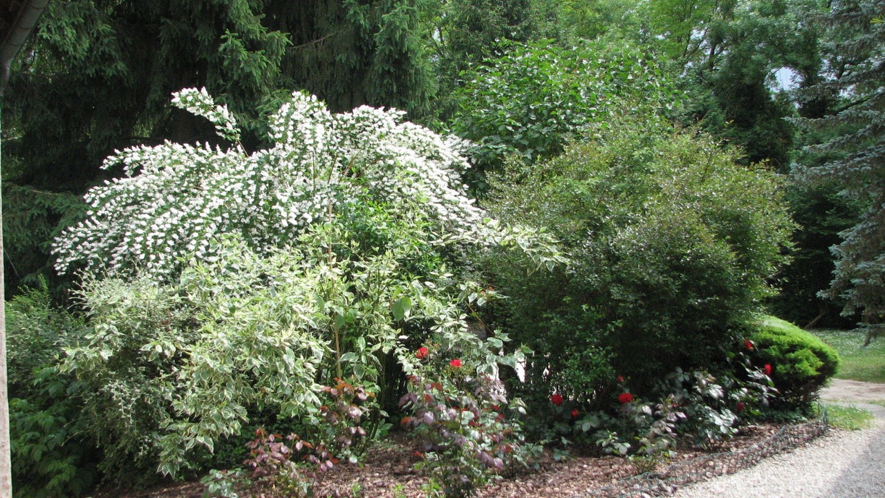 Photo of Outdoor in Saint-Ondras