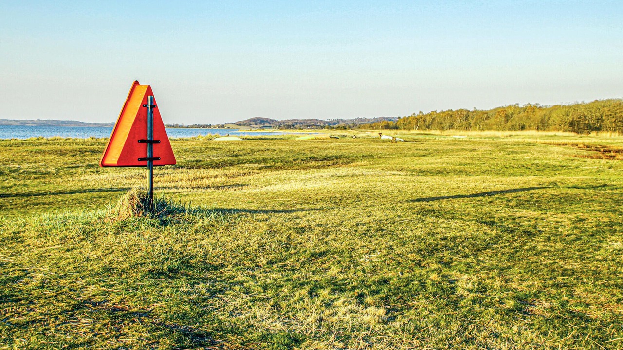 Photo of Others in Femmøller