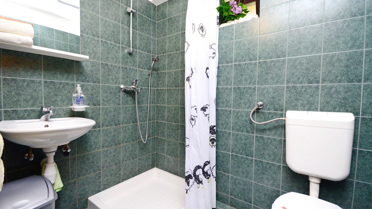 Photo of Bathroom in Sveti Petar u Sumi