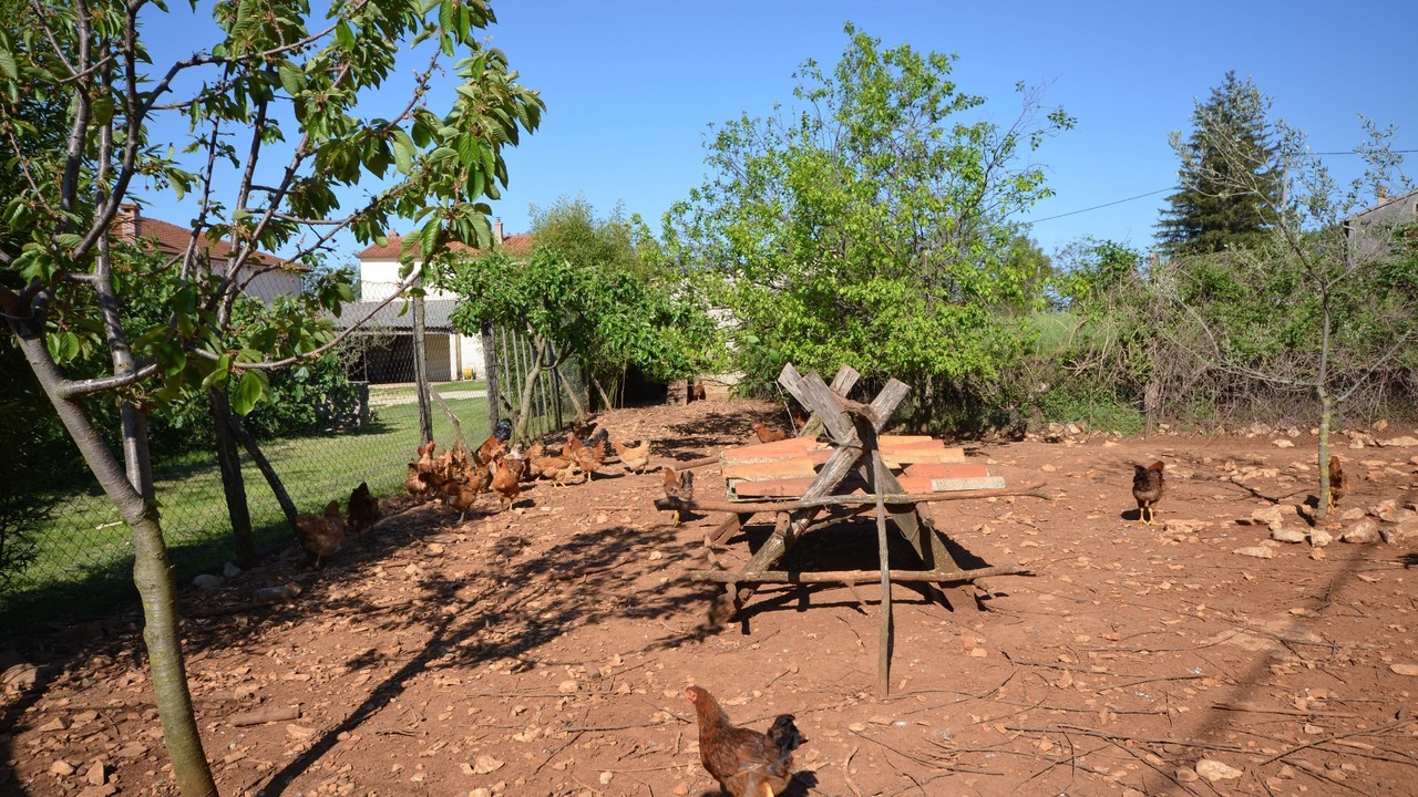 Photo of Outdoor in Sveti Petar u Sumi