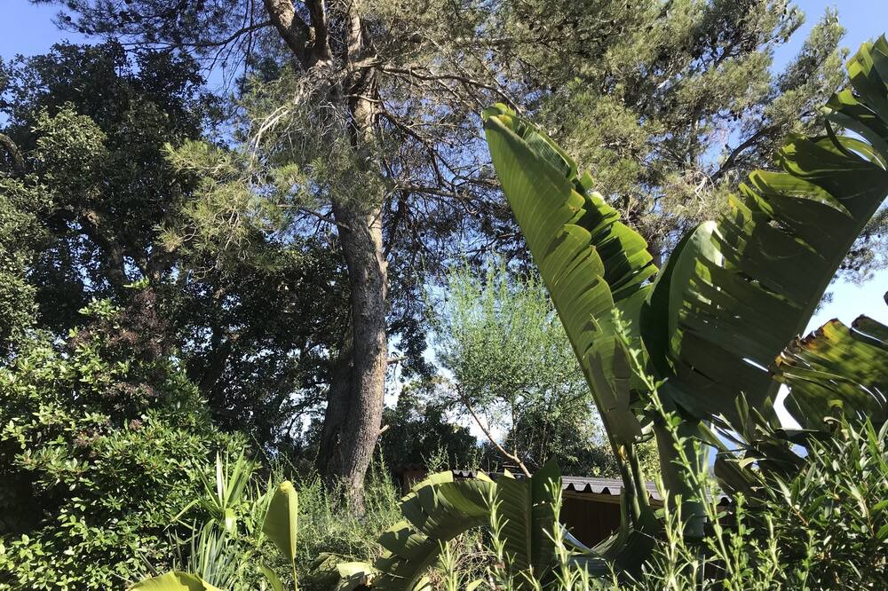 Photo of Outdoor in Santa Susanna