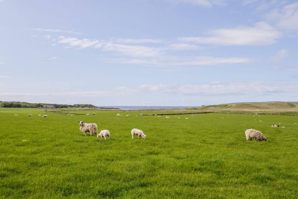 Photo of Others in Hunspow