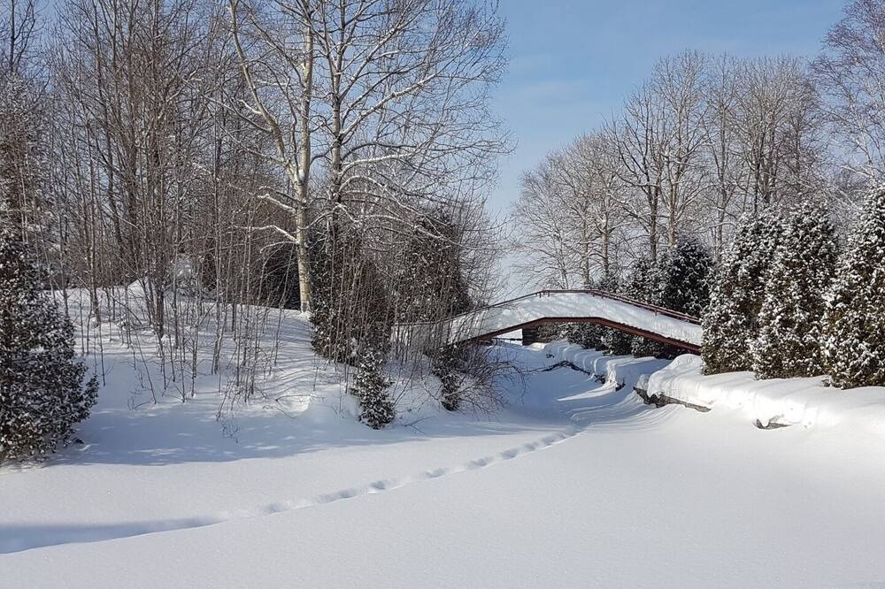 Photo of Others in St. Felicien