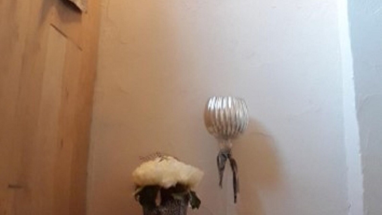 Photo of Others in Villemoustaussou