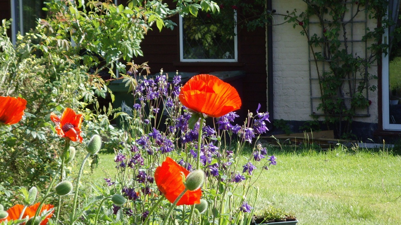 Photo of Outdoor in Petham