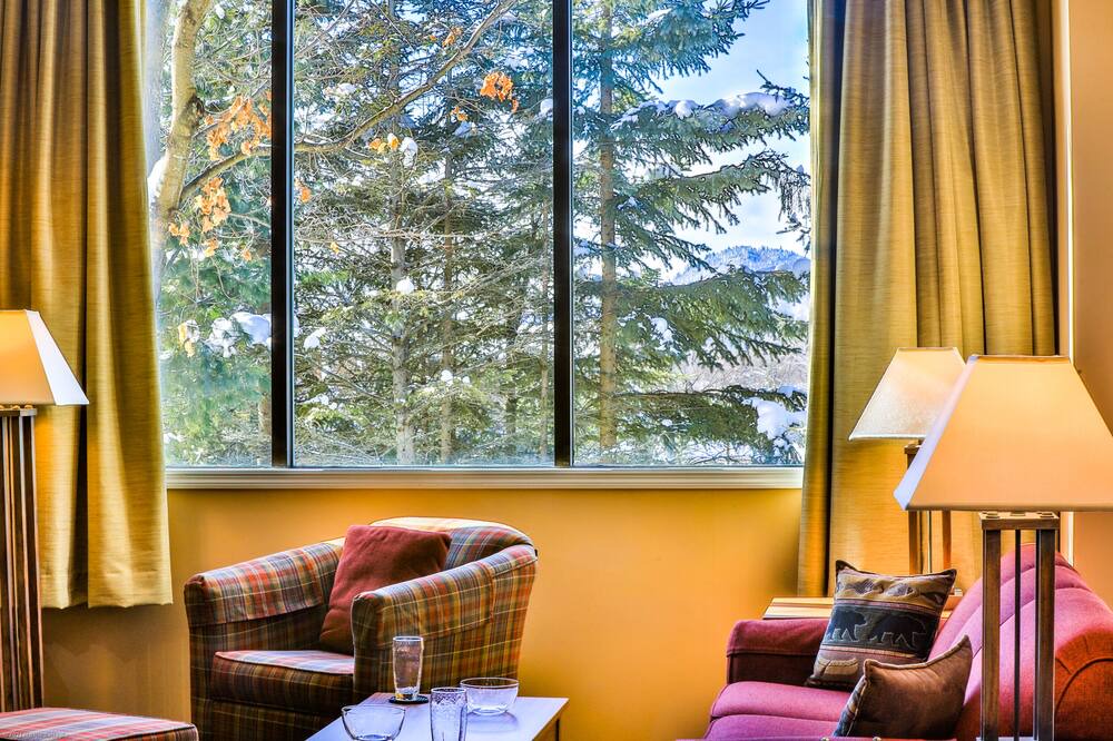 Photo of Livingroom in Lake Placid Club