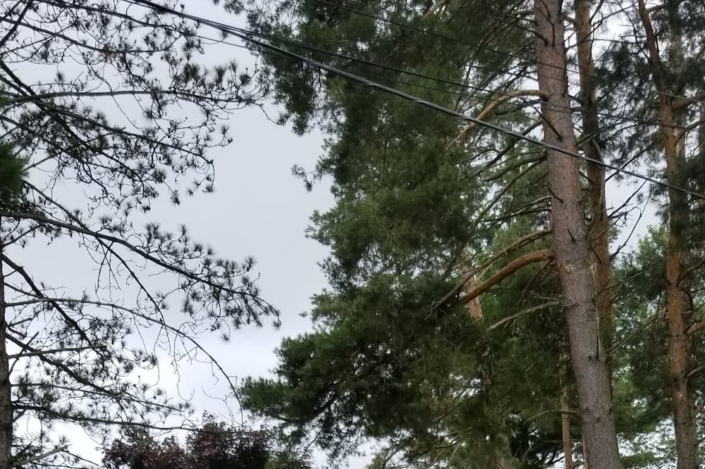 Photo of Others in Batavia