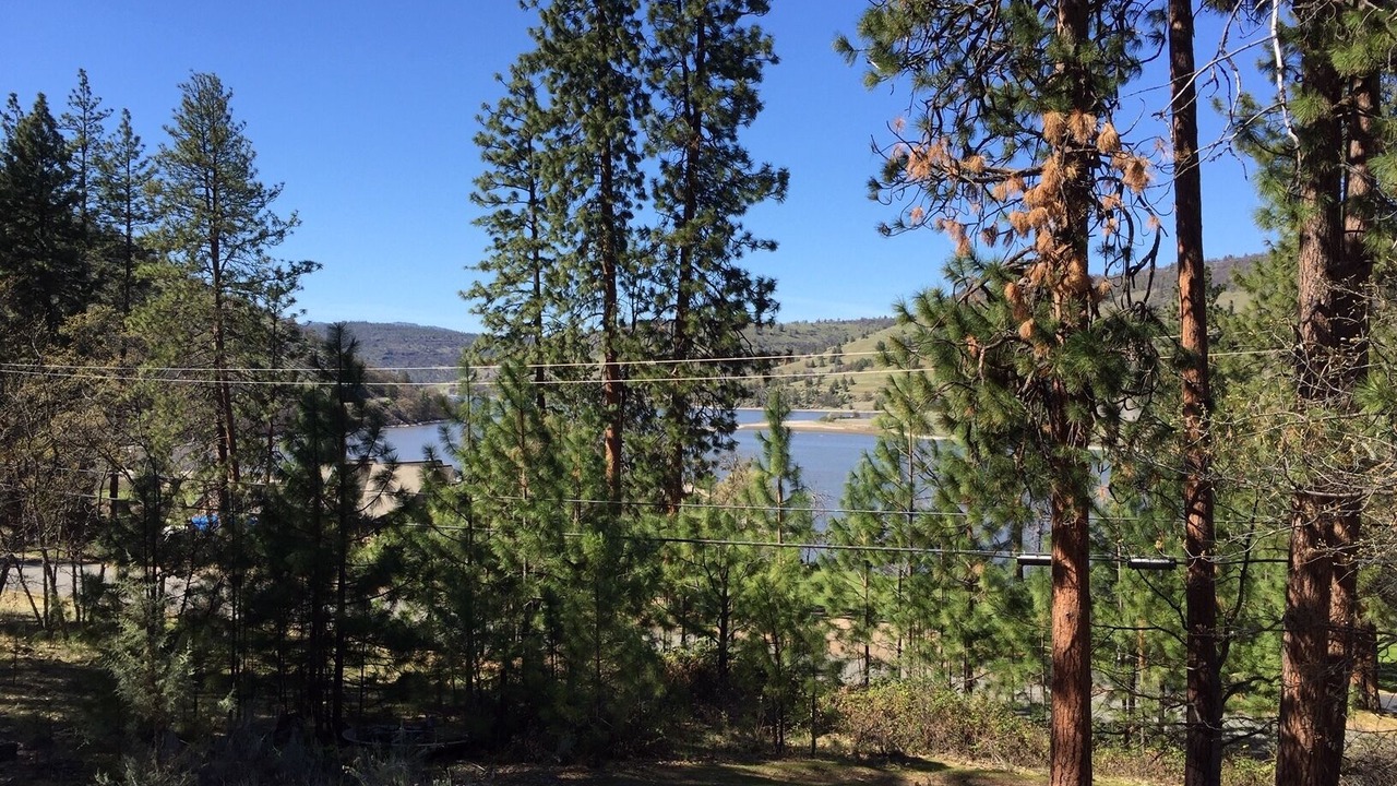 Photo of Outdoor in Montague