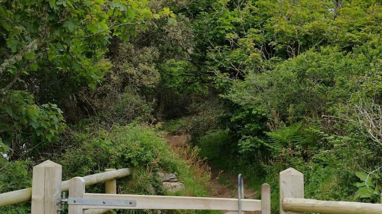 Photo of Outdoor in Helston