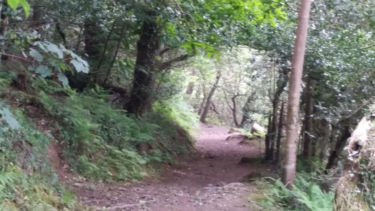 Photo of Outdoor in Helston