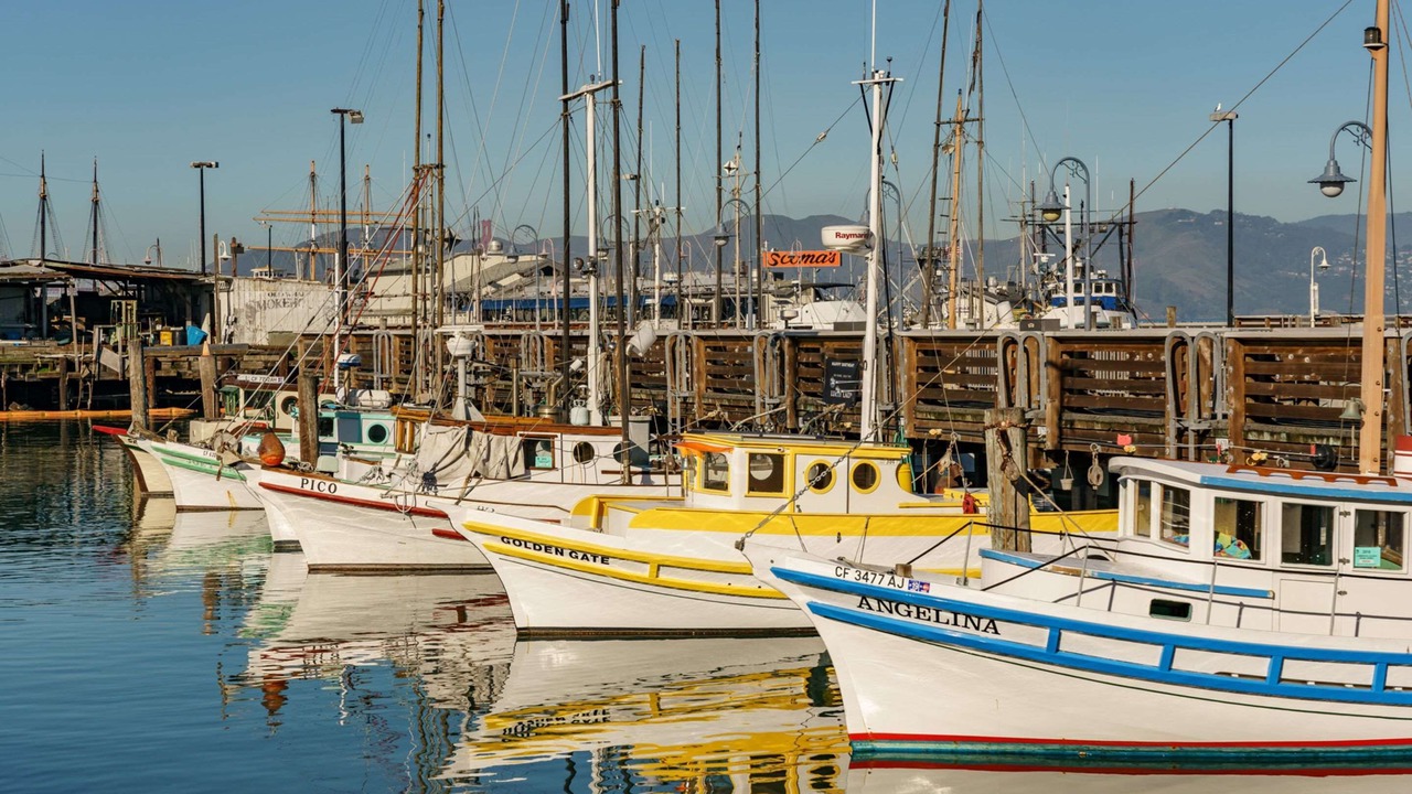 Photo of Others in Fisherman's Wharf