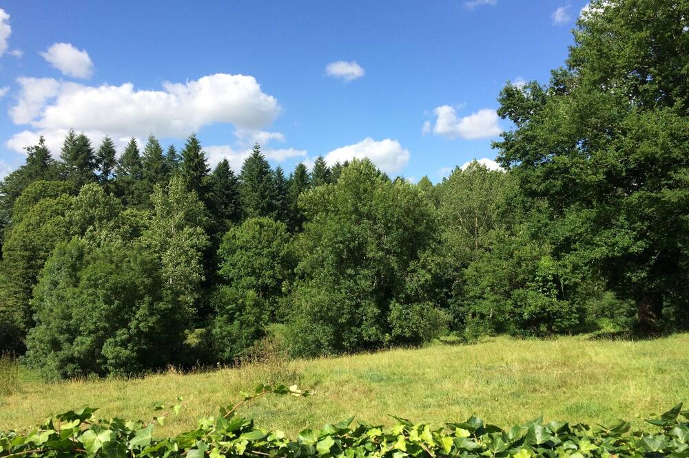 Photo of Outdoor in Marillet