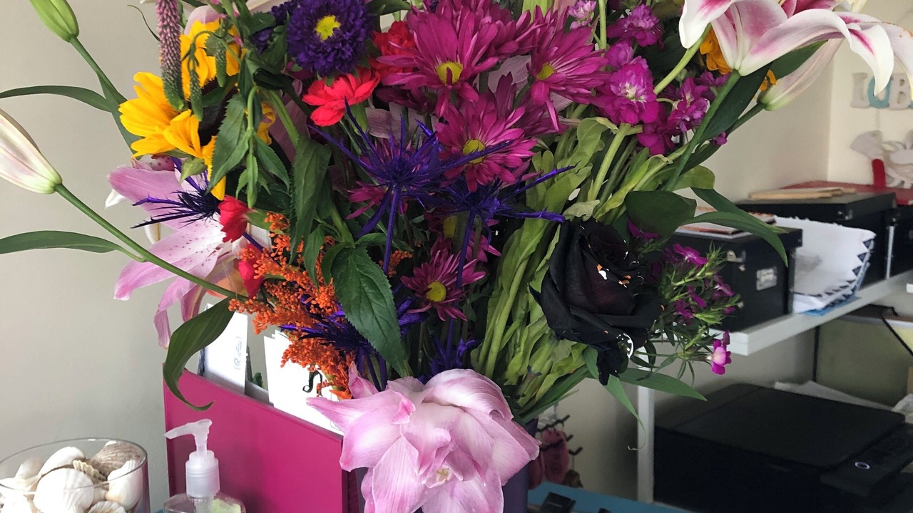 Photo of Others in Buzzards Bay