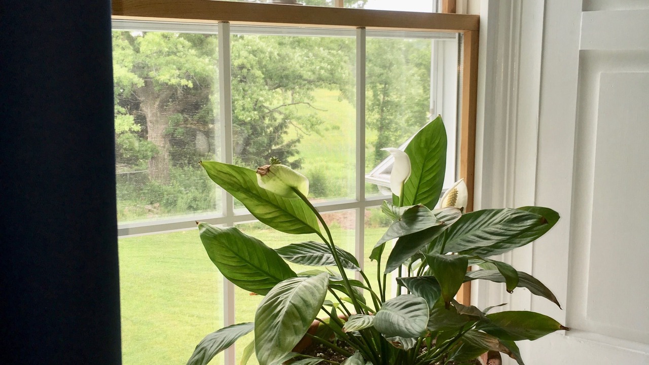 Photo of Bedroom in Rideau Lakes