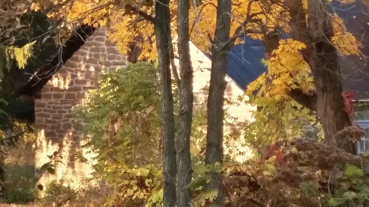 Photo of Outdoor in Rideau Lakes
